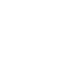 gt-1